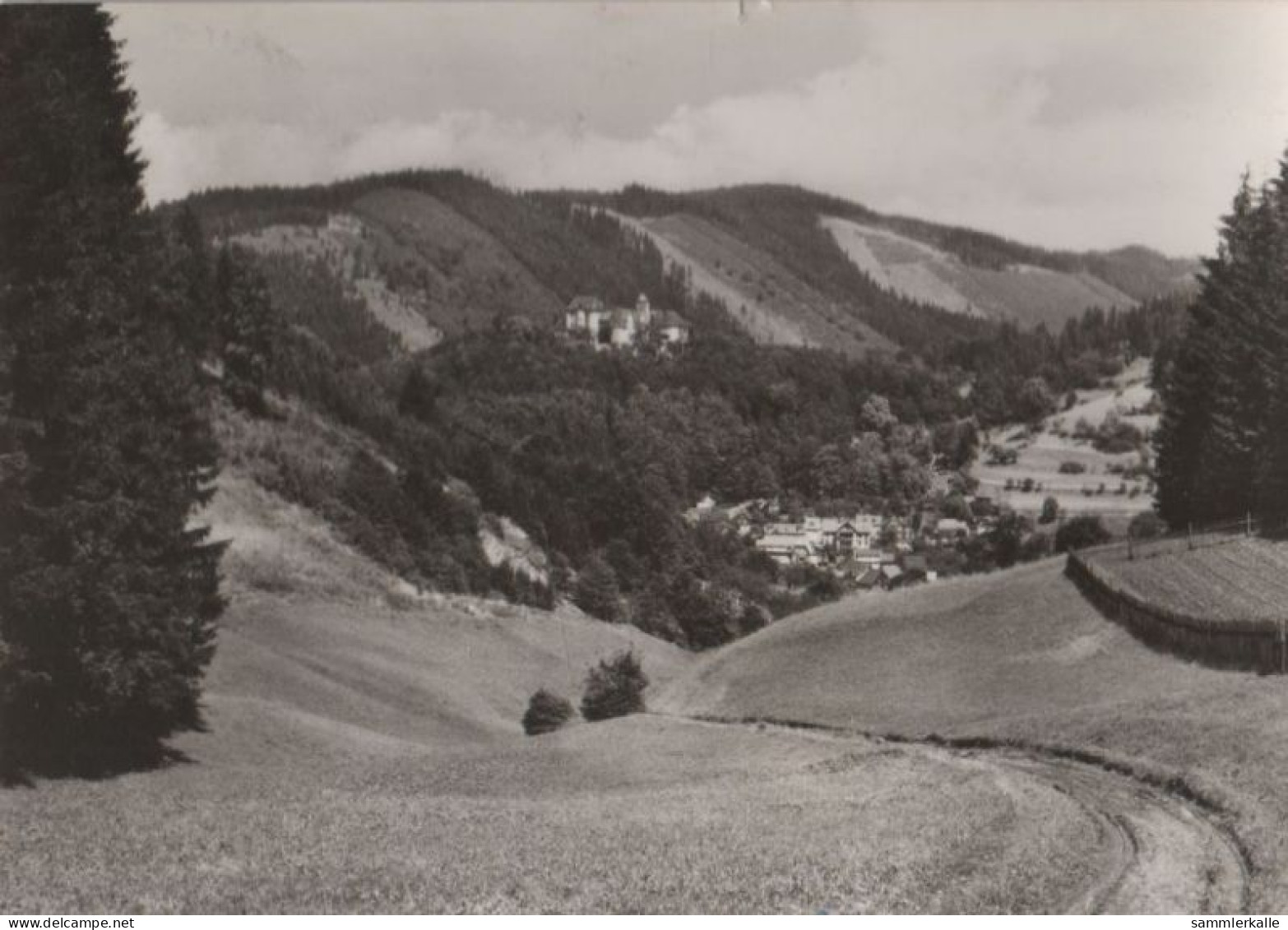 50929 - Leutenberg - Blick Zum Ort - 1970 - Leutenberg