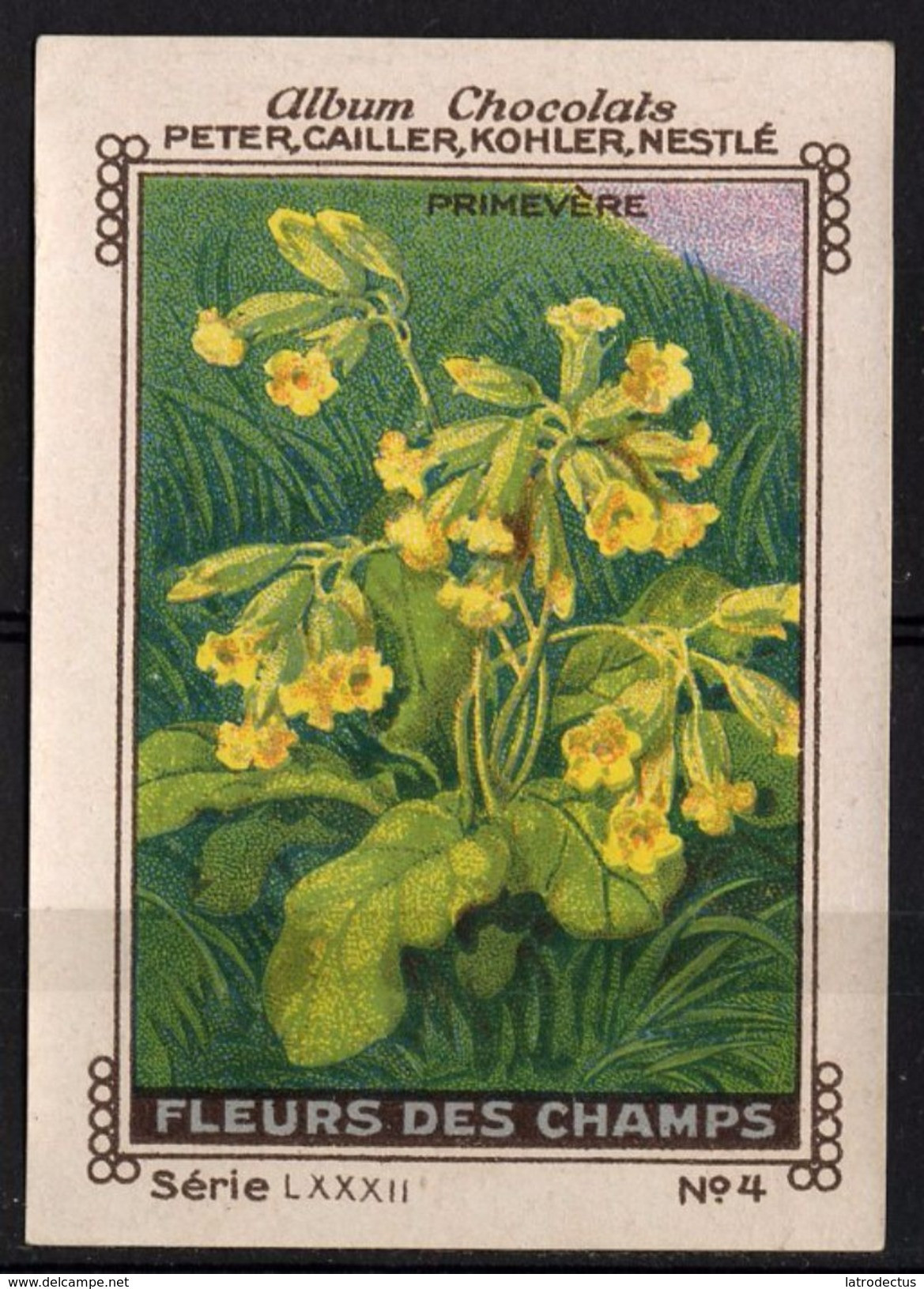 Nestlé - LXXXII - Fleur De Champs, Field Flowers - 4 - Primevère, Primula - Nestlé