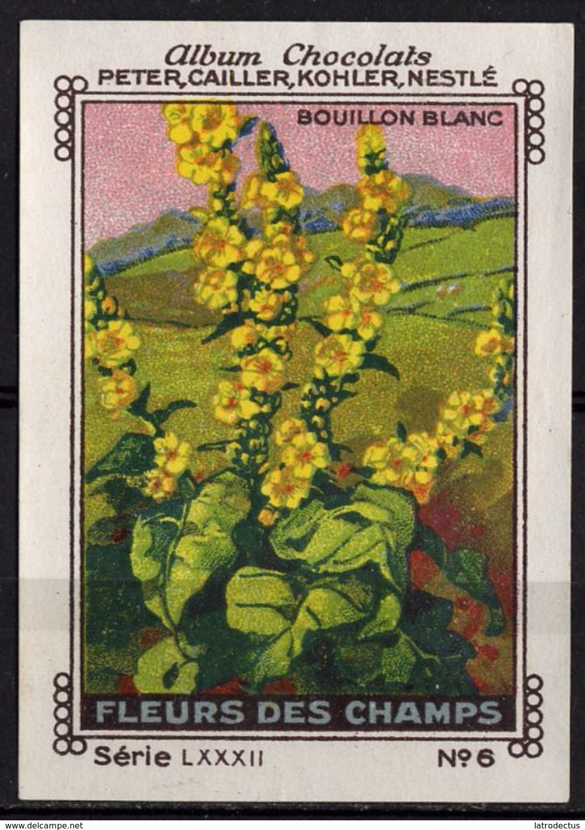 Nestlé - LXXXII - Fleur De Champs, Field Flowers - 6 - Bouillon Blanc, Great Mullein, Verbascum - Nestlé