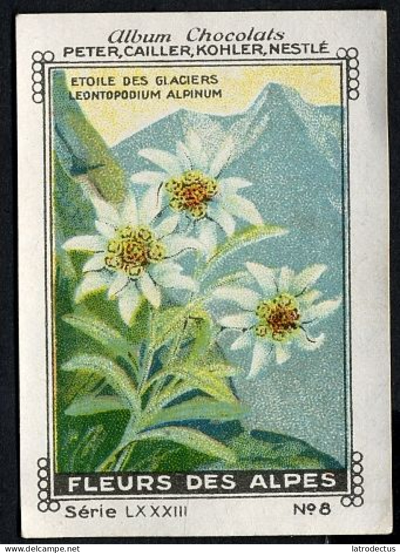 Nestlé - LXXXIII - Fleur Des Alpes, Flora Of The Alps - 8 - Etoile Des Glaciers, Leontopodium Alpinum, Edelweiss - Nestlé