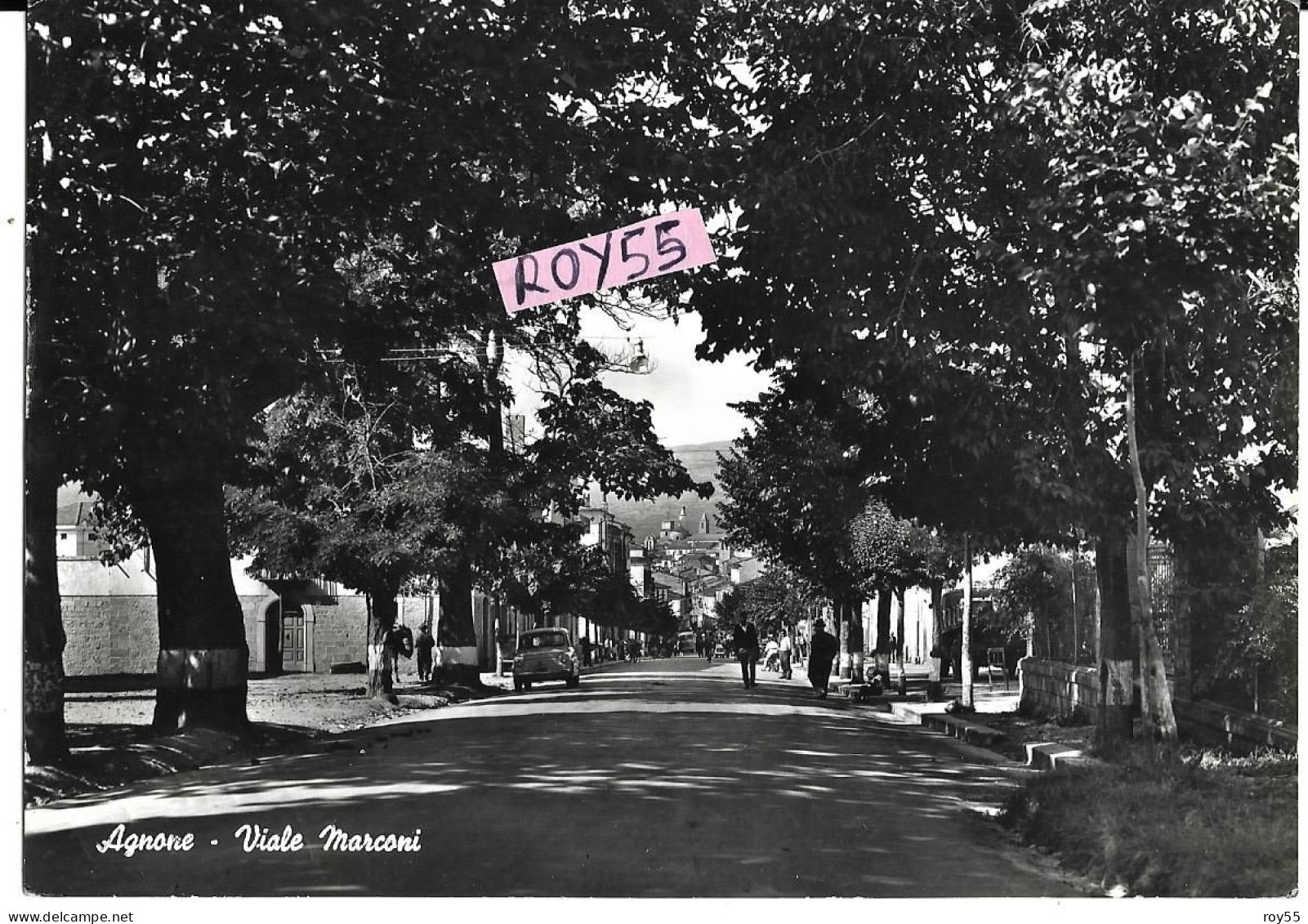 Molise-isernia-agnone Viale Marconi Differente Veduta Viale Alberato Persone Auto Epoca Fiat 600 Anni 60 - Andere & Zonder Classificatie