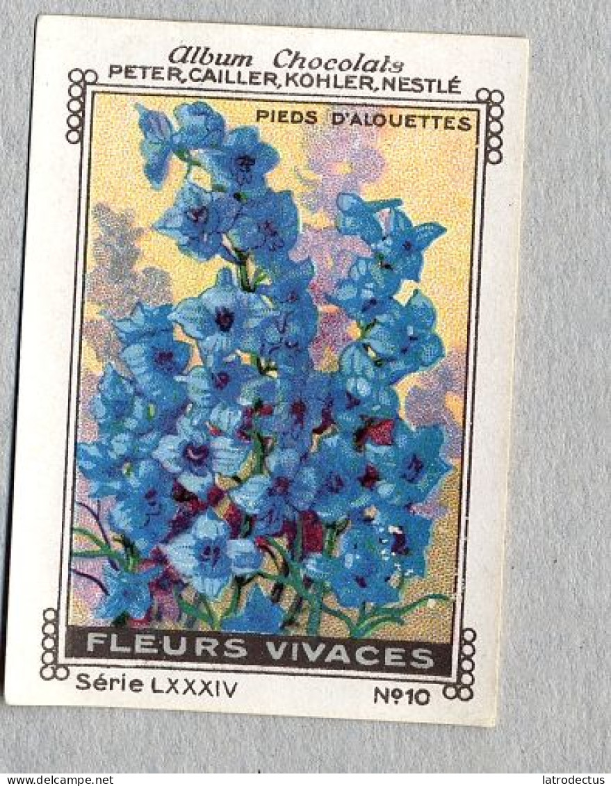 Nestlé - LXXXIV - Fleurs Vivaces, Perennial Flowers - 10 - Pieds D'alouettes - Nestlé
