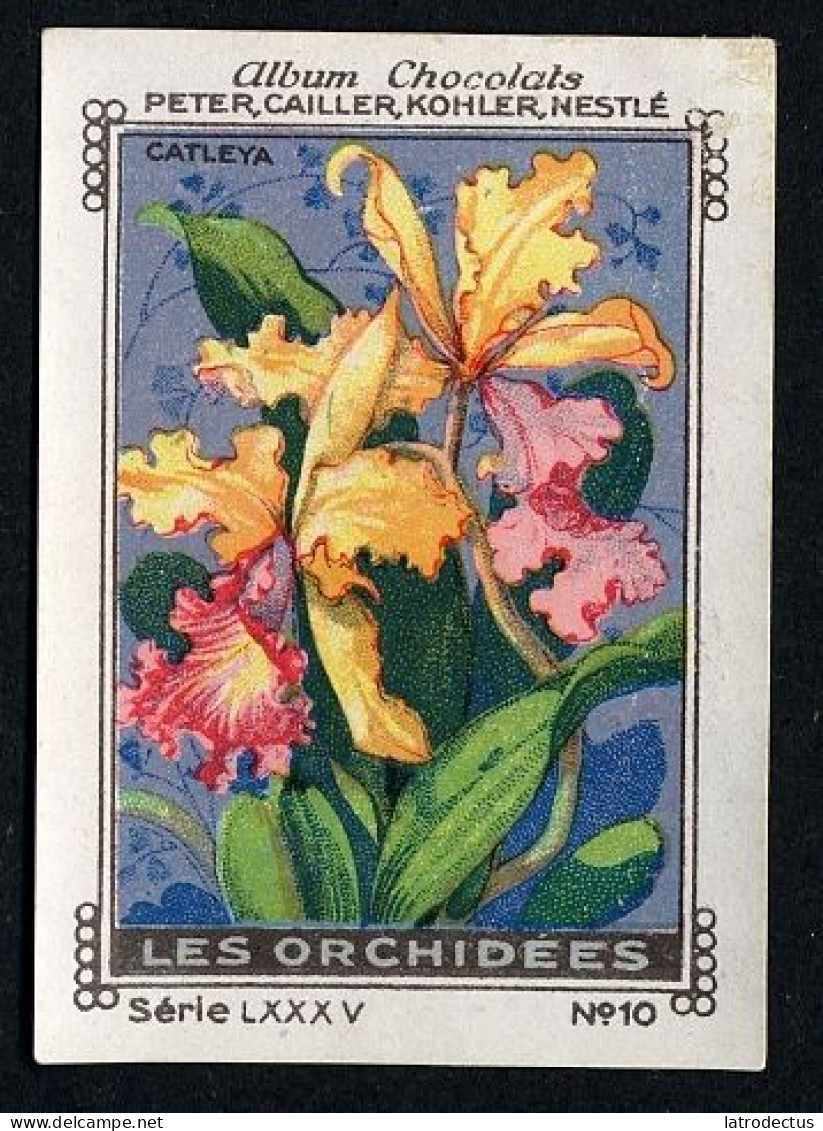 Nestlé - LXXXV - Les Orchidées, Orchids - 10 - Catleya - Nestlé