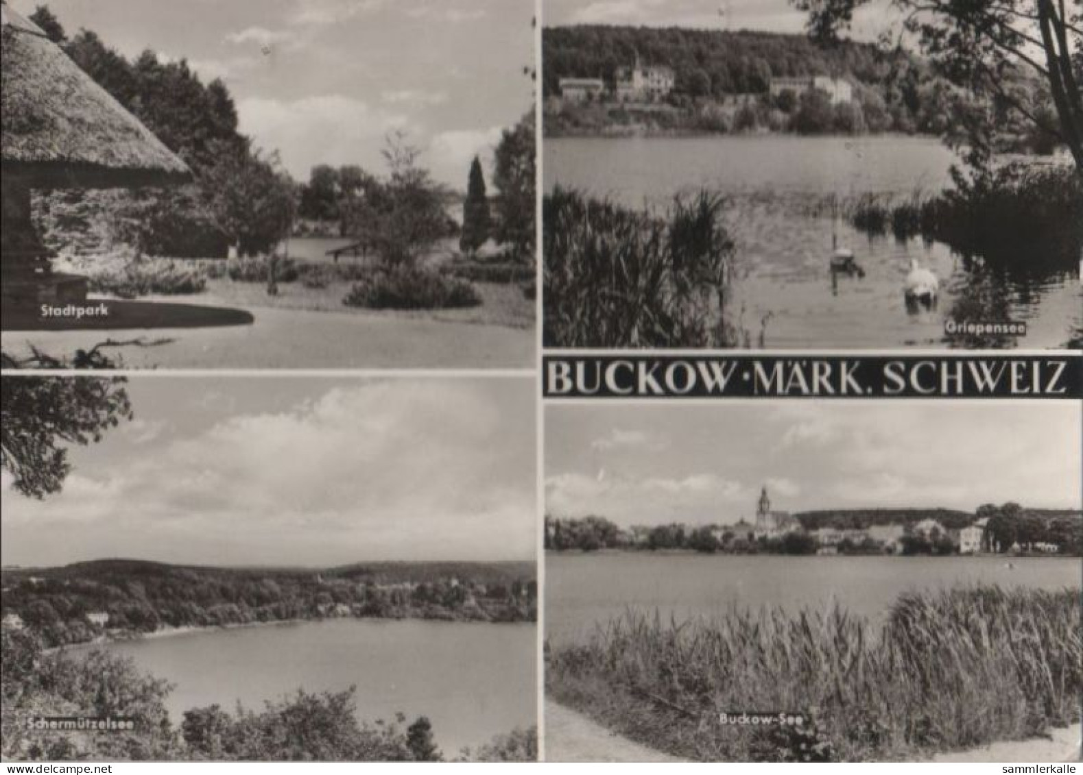 43716 - Buckow - U.a. Stadtpark - 1976 - Buckow
