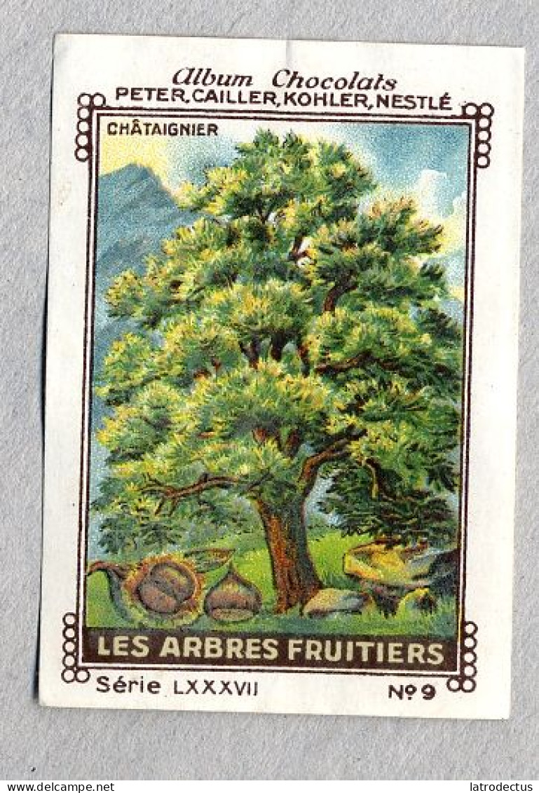 Nestlé - LXXXVII - Les Arbres Fruitiers, Fruit Trees - 9 - Châtaignier - Nestlé