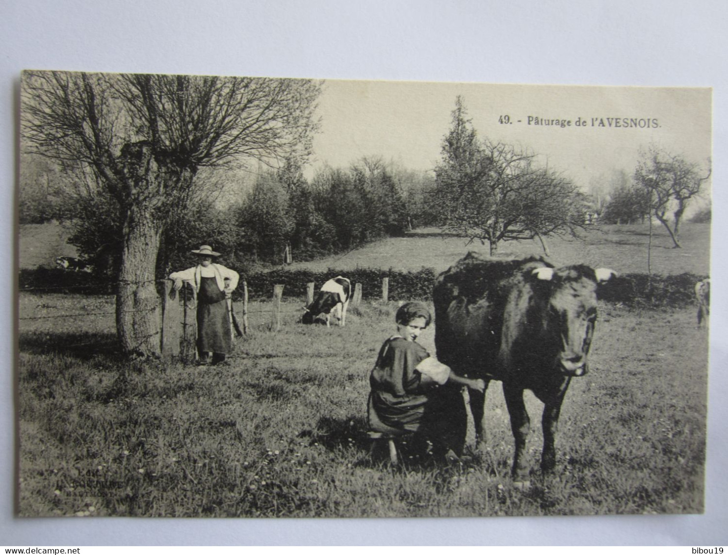 CPA  PATURAGE DE L AVESNOIS - Avesnes Sur Helpe