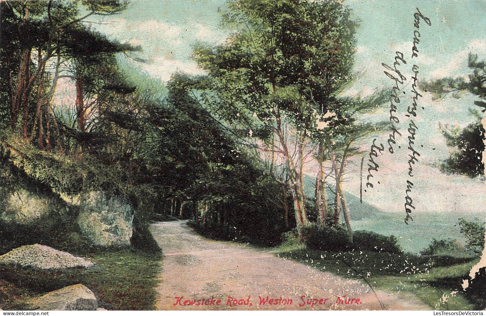 ROYAUME-UNI - Newstake Road - Weston Super Mare - Vue Sur Une Route - La Forêt - Carte Postale Ancienne - Weston-Super-Mare