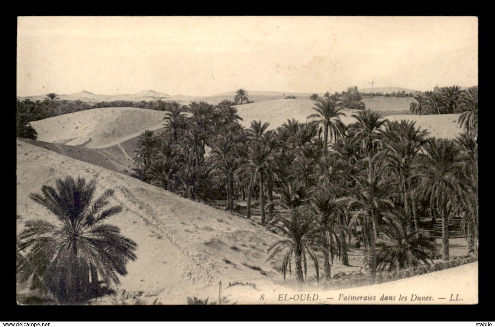 ALGERIE - SAHARA - EL-OUED - PALMERAIES DANS LES DUNES - El-Oued