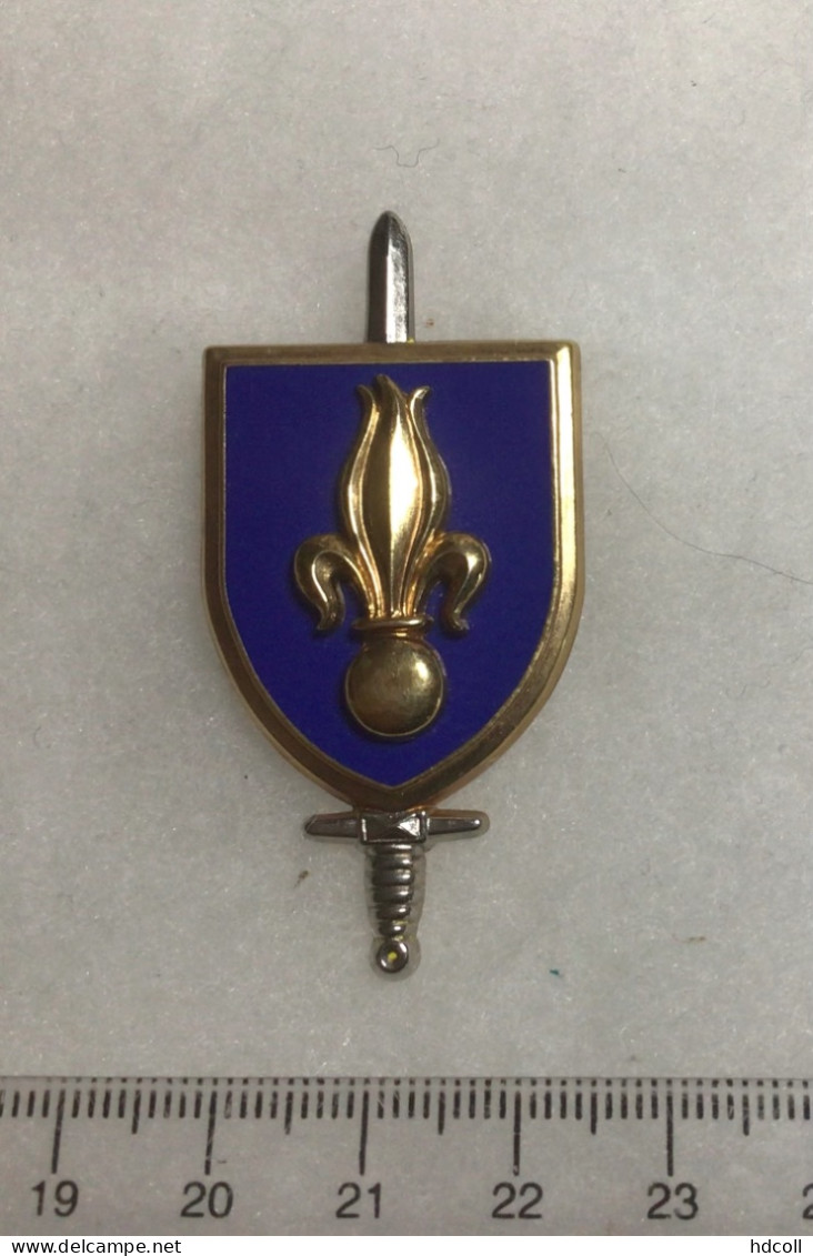 FRANCE INFANTERIE - Insigne Ecole D’Application D’Infanterie MONTPELLIER Drago - Andere & Zonder Classificatie