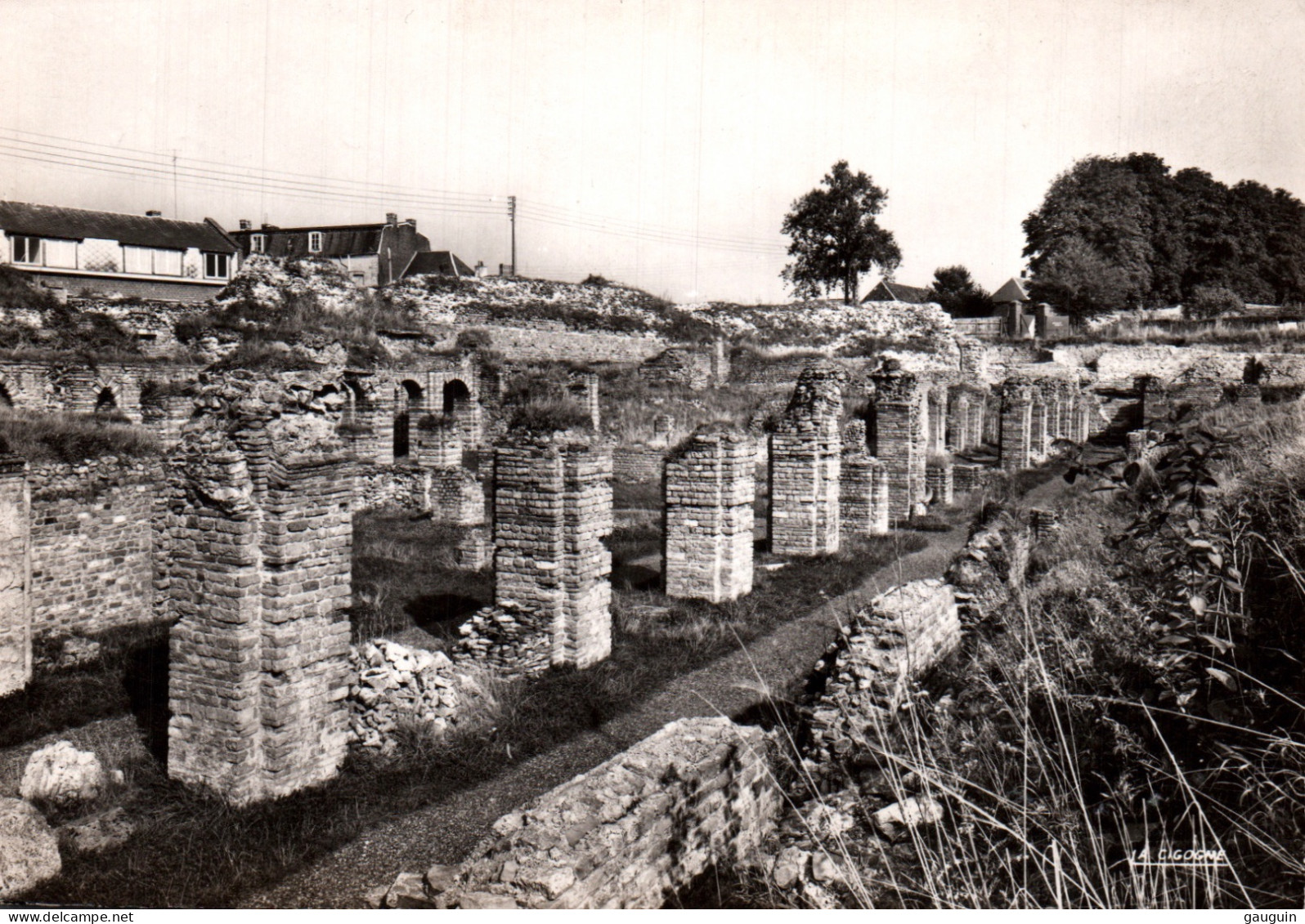 CPSM - BAVAY - Vestiges Gallo-Romains - Edition La Cigogne - Bavay