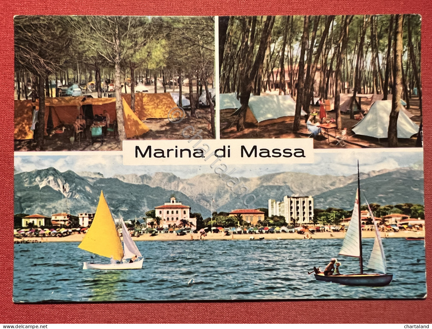 Cartolina - Marina Di Massa - Vedute Diverse - 1966 - Massa