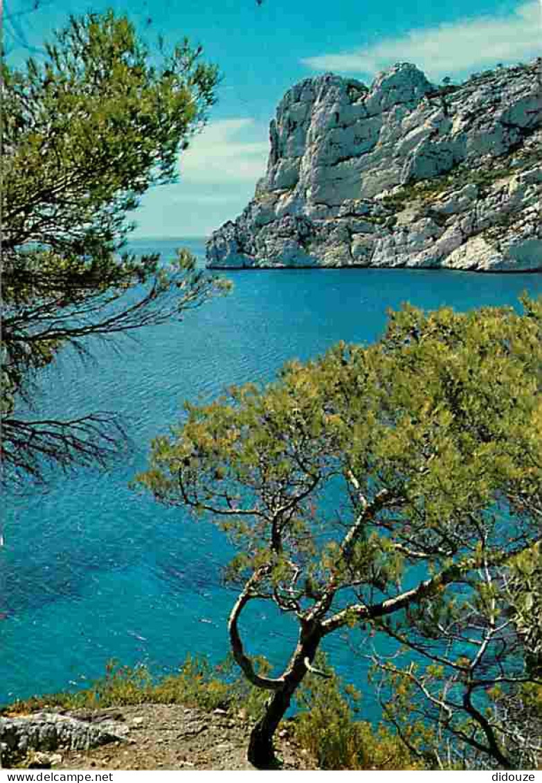 13 - Marseille - Les Calanques - Sormiou - La Pointe - Cap Redon - CPM - Voir Scans Recto-Verso - Quatieri Sud, Mazarques, Bonneveine, Pointe Rouge, Calanques