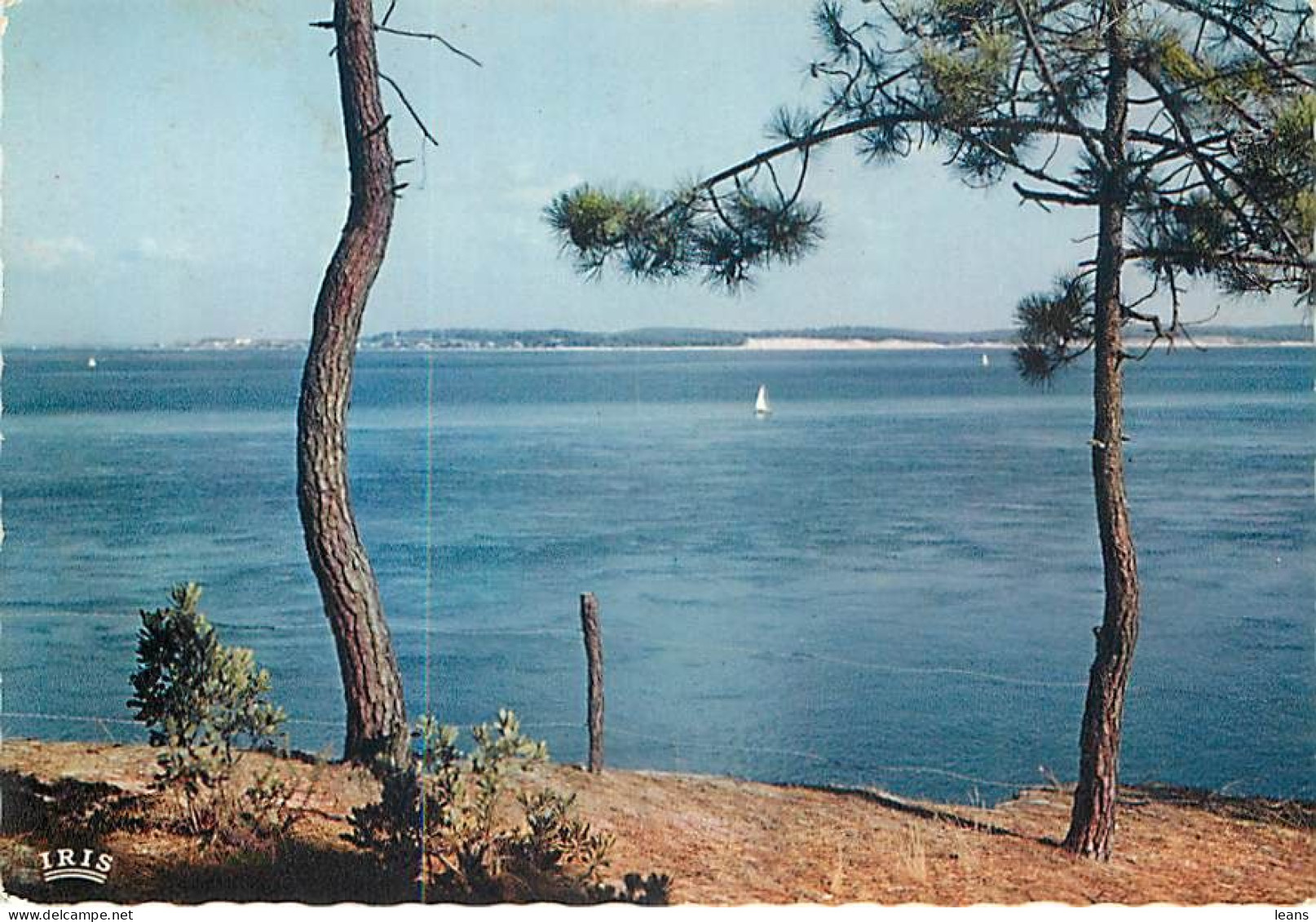 DEPARTEMENT DE LA GIRONDE (33)  - LOT DE 110 CARTES POSTALES SEMI-MODERNES - 100 - 499 Karten