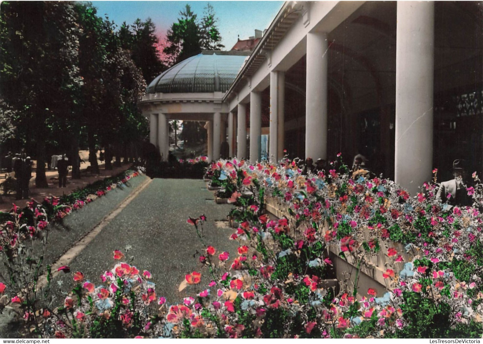 FRANCE - Vittel - Dans Le Parc - Colorisé - Carte Postale - Vittel