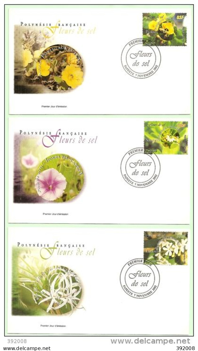 2002 - 677 à 679 - Fleurs De Sel - 9 - FDC