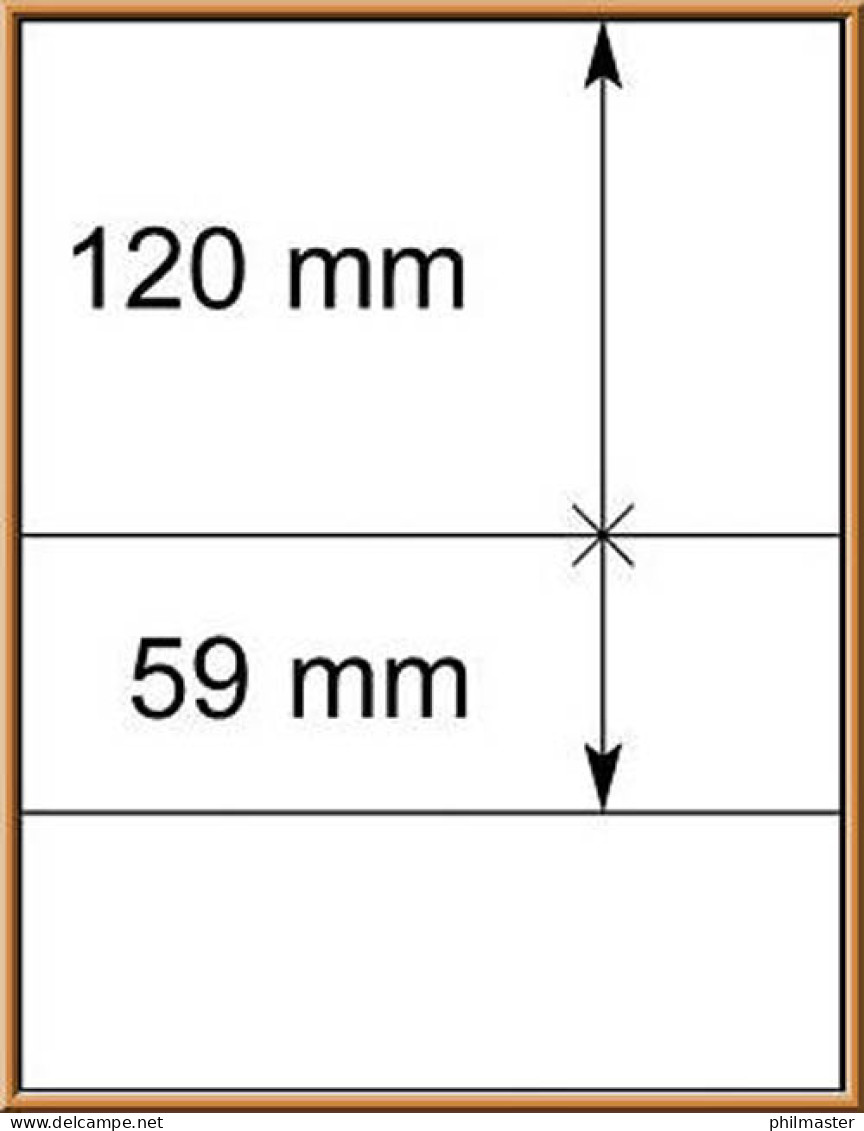 LINDNER-T-Blanko - Einzelblatt 802 206 - Vierges