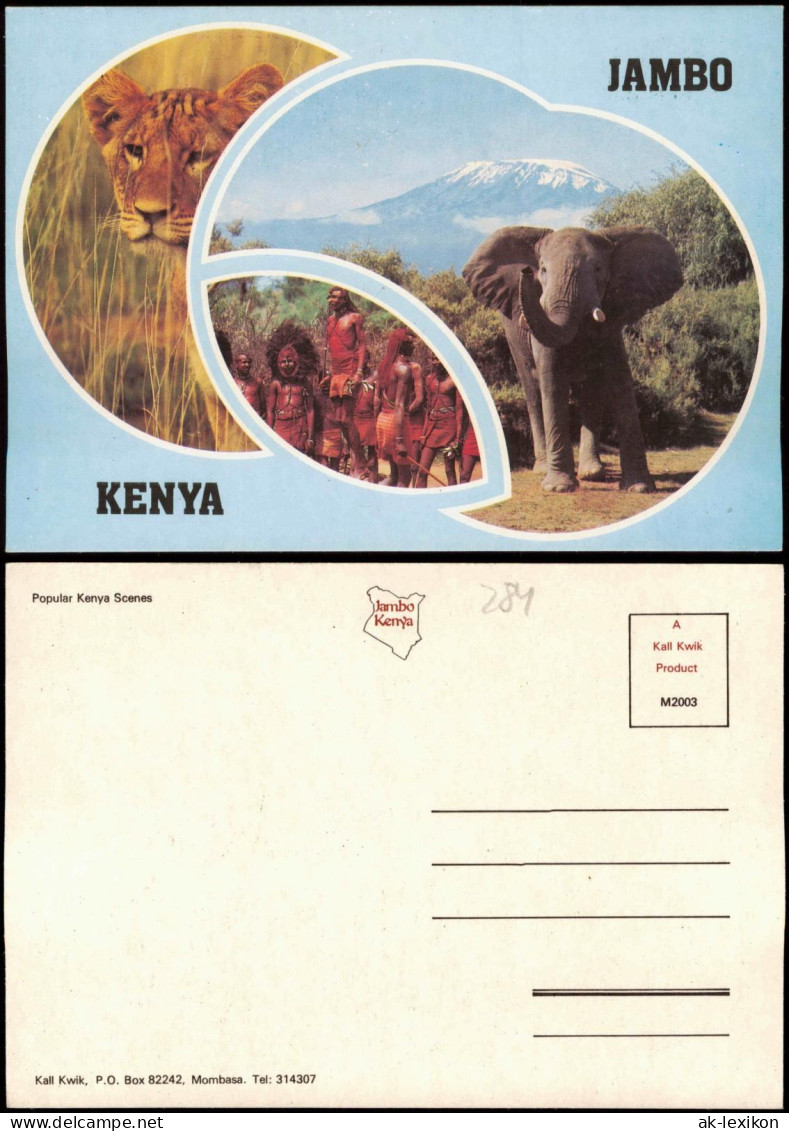 Postcard _Allgemein MB Kenia Kenya Löwe, Elefant - Jambo 1980 - Kenya