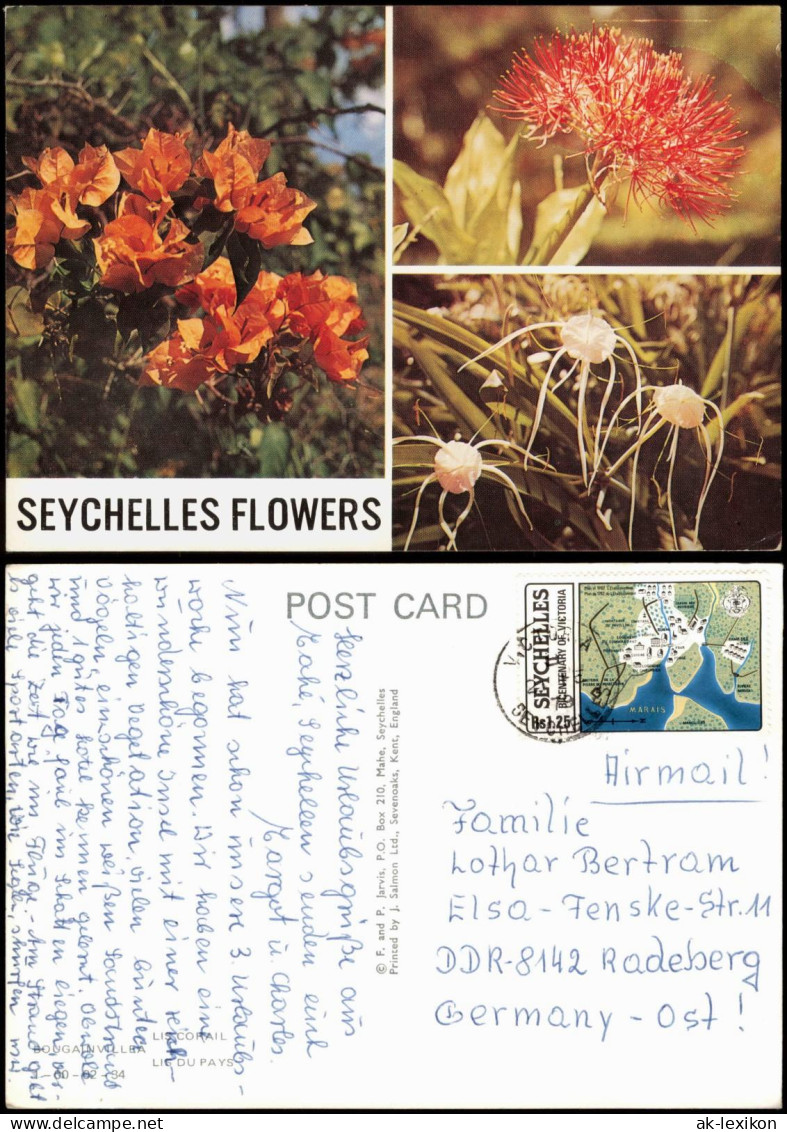Seychellen (Seychelles)  Blumen Flower 1982  Gel. Briefmarke - Seychelles