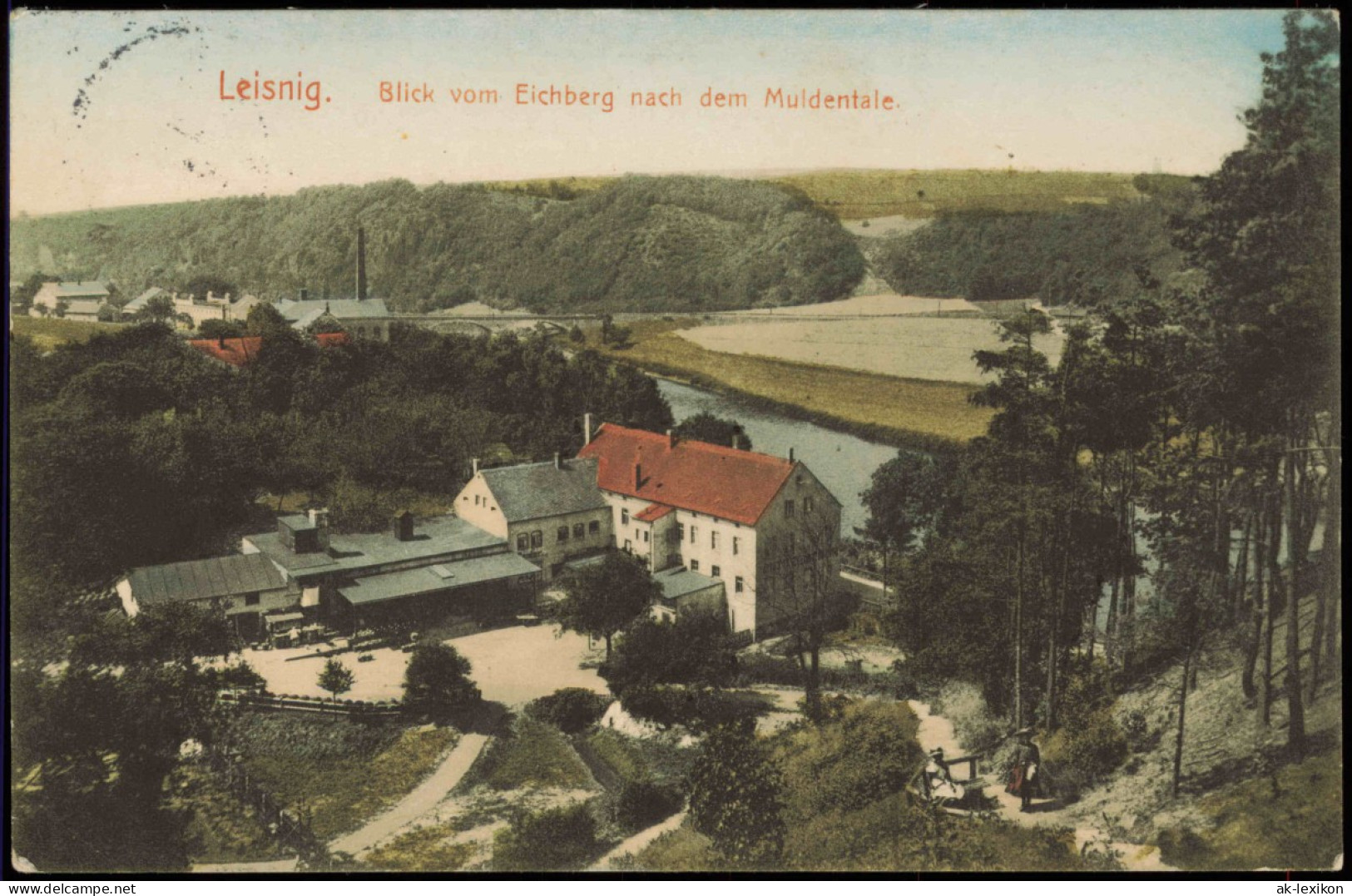 Ansichtskarte Leisnig Blick Vom Eichberg Nach Dem Muldentale. 1915 - Leisnig