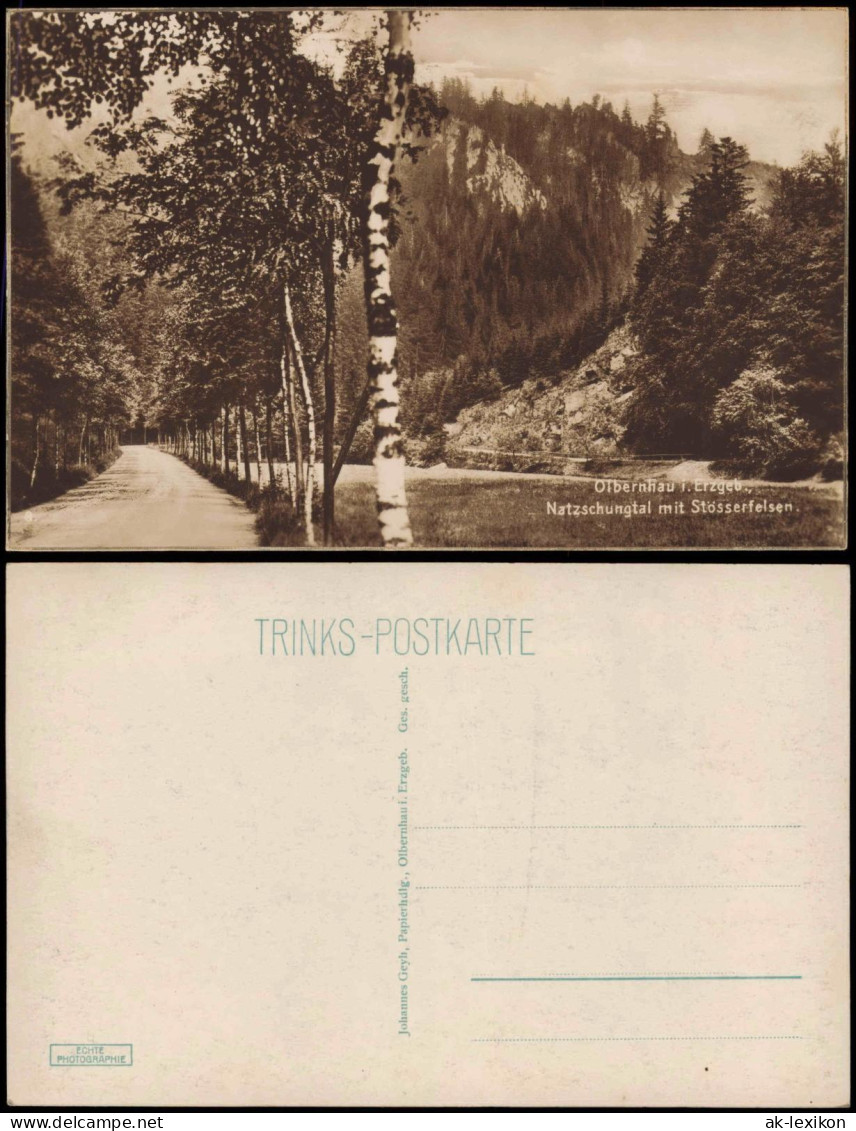 Olbernhau Natzschungtal Stösserfelsen Birkenallee Erzgebirge 1928 - Olbernhau