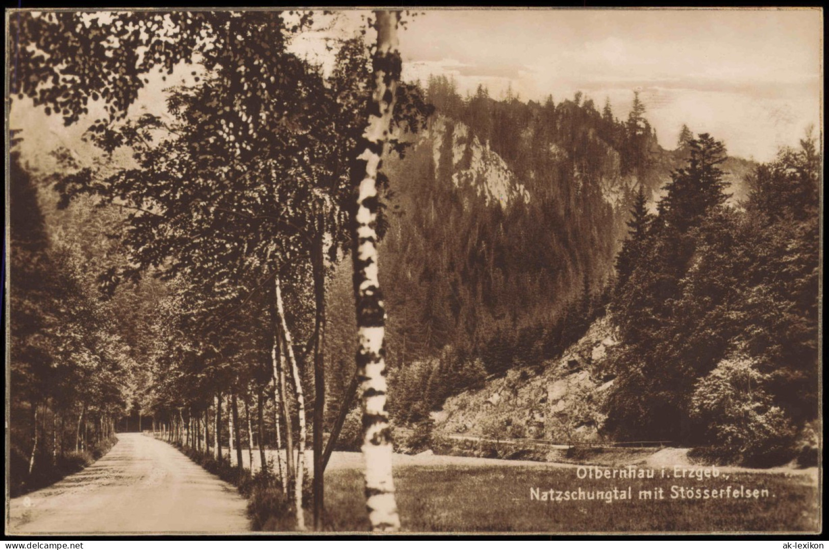 Olbernhau Natzschungtal Stösserfelsen Birkenallee Erzgebirge 1928 - Olbernhau