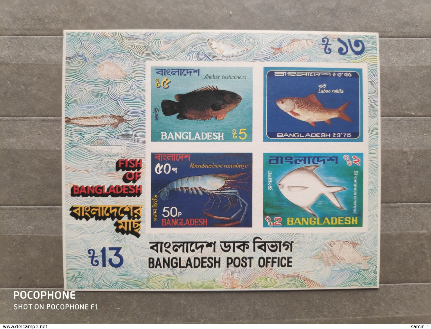 1983	Bangladesh	Fishes (F83) - Bangladesh