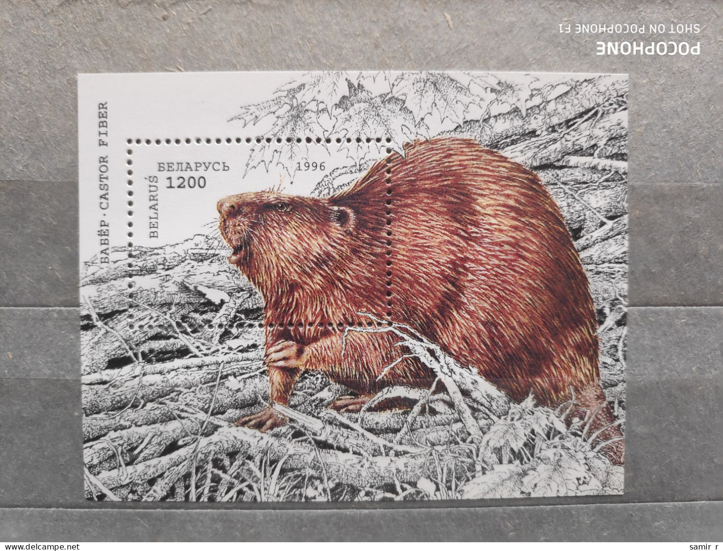 1996	Belarus	Animals (F83) - Belarus