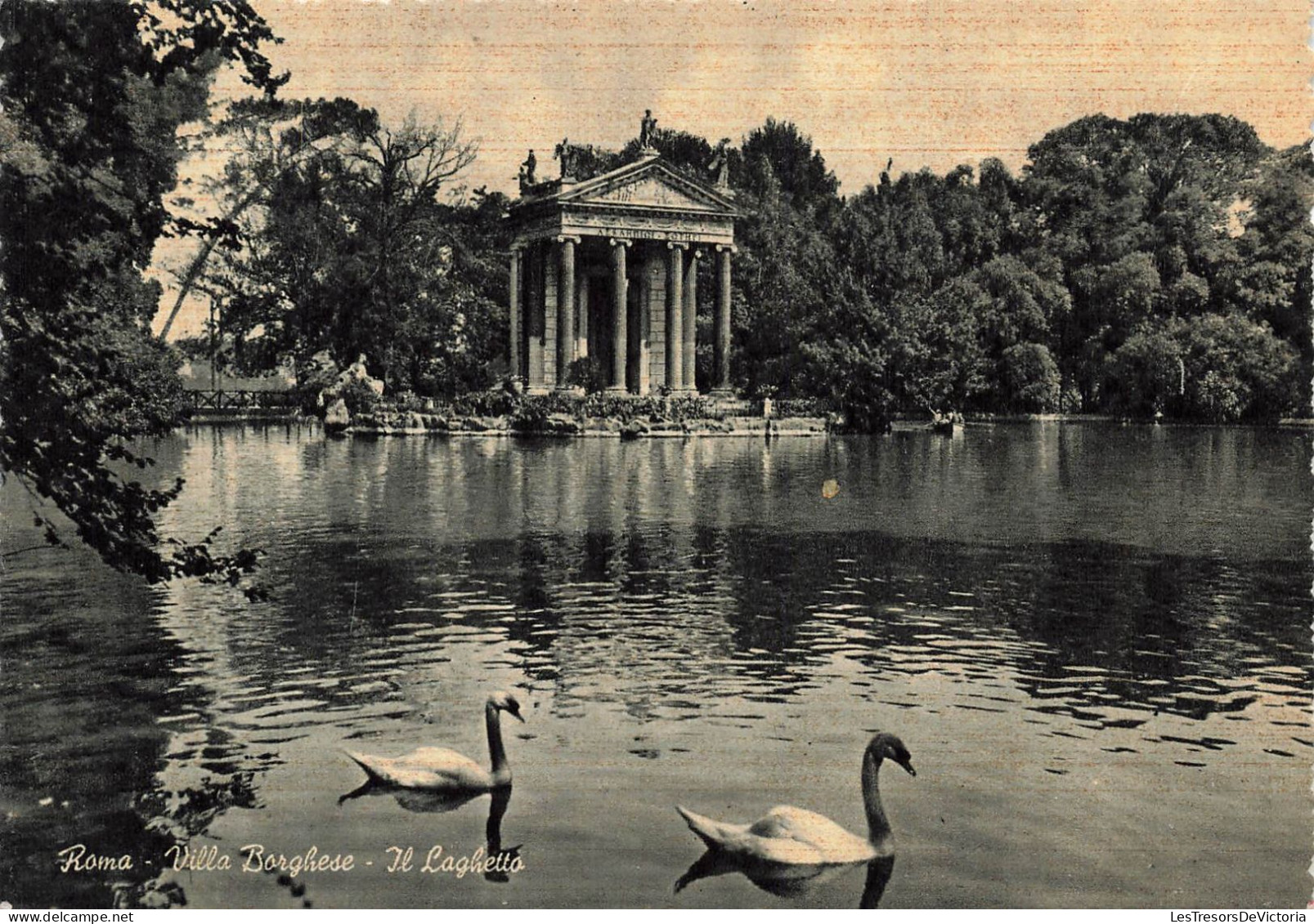 ITALIE - Roma - Villa Borghese - Il Laghetto - Carte Postale Ancienne - Altri Monumenti, Edifici