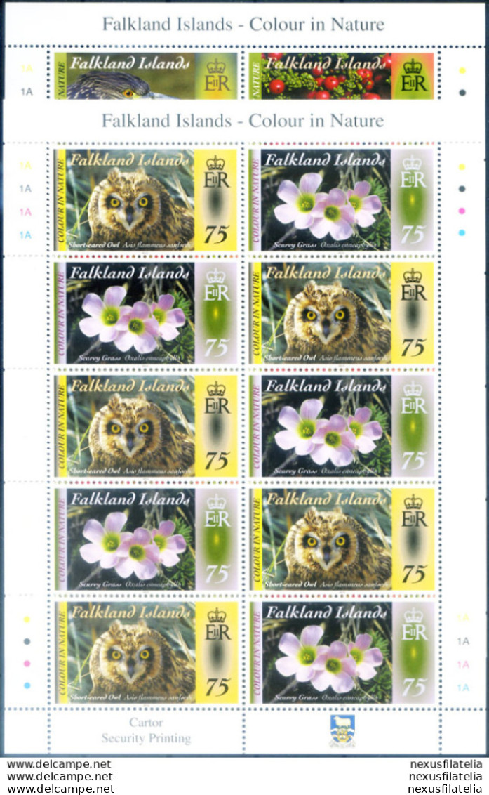 Flora E Fauna 2012. 2 Minifogli. - Falklandeilanden