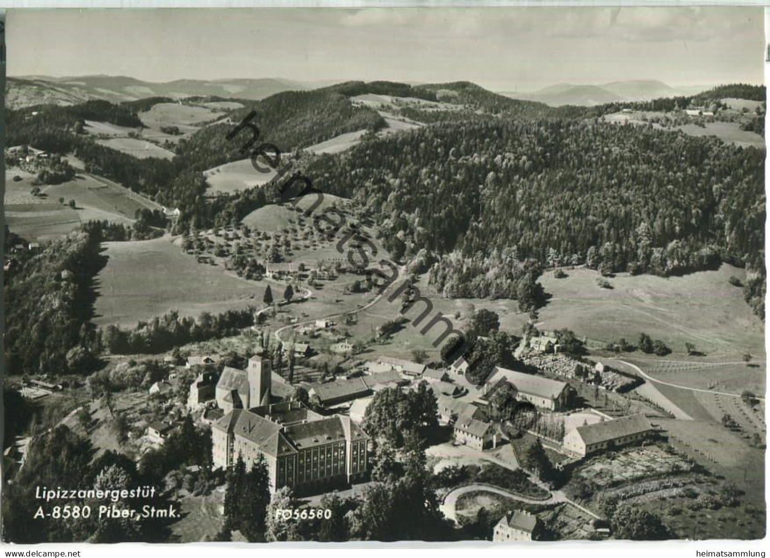 Köflach - Piber - Lipizzanergestüt - Foto-Ansichtskarte - Verlag Alpine Luftbild Innsbruck - Köflach