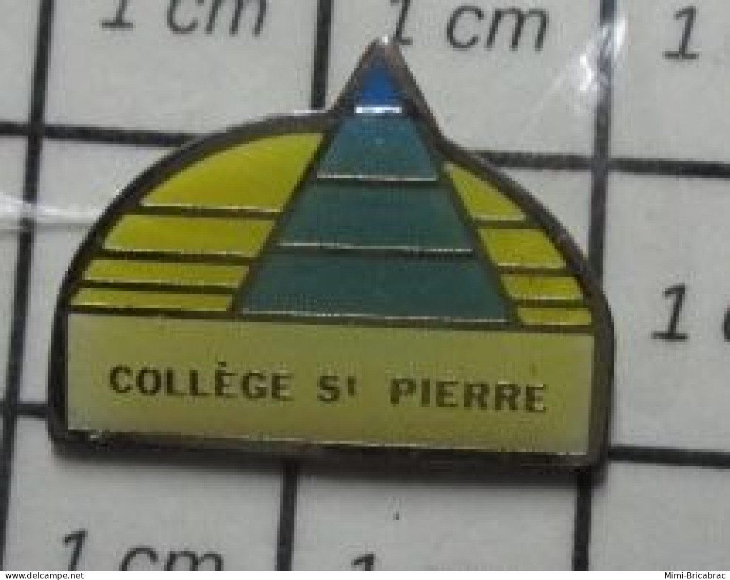 712e Pin's Pins / Beau Et Rare / Thème ADMINISTRATIONS / COLLEGE ST PIERRE - Administración