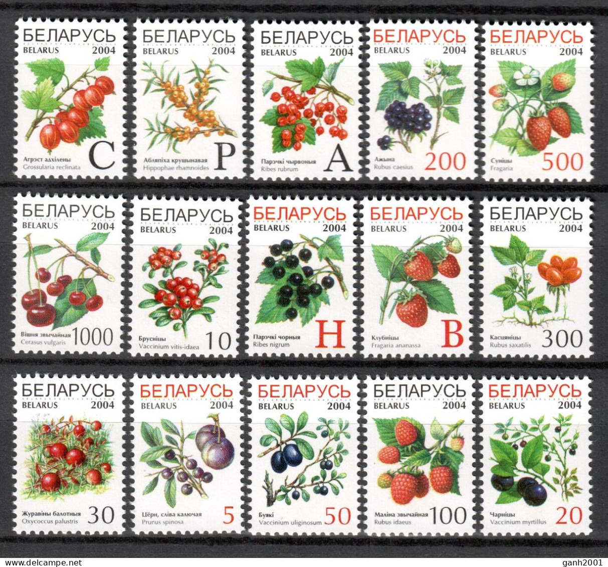 Belarus 2004 Bielorrusia / Fruits MNH Frutas Früchte / Cu21355  40-3 - Fruits