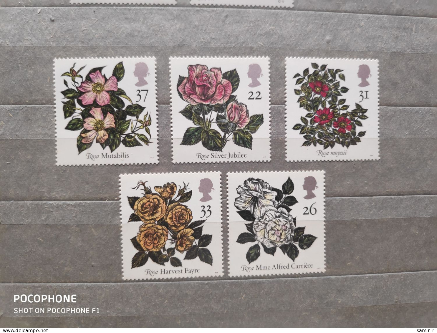 1991	Great Britain	Flowers (F83) - Unused Stamps