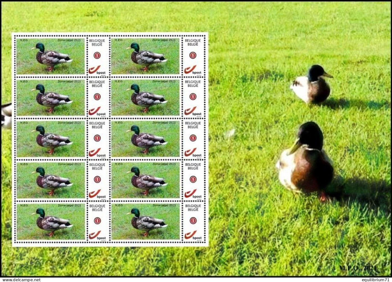 DUOSTAMP/MYSTAMP** - Timbre D'été / Zomer Zegel - Canard Colvert / Wilde Eend - MPO Mechelse PZK Opsinjoor - Ungebraucht