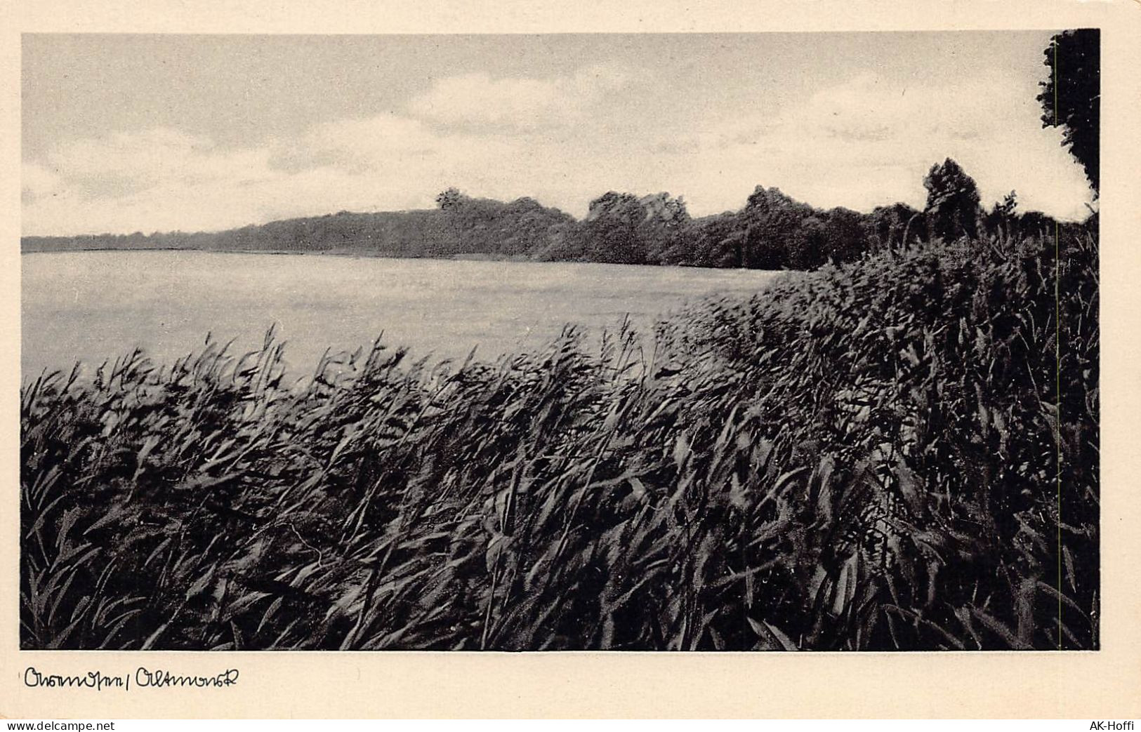 Arendsee (Altmark) - Panorama - Salzwedel