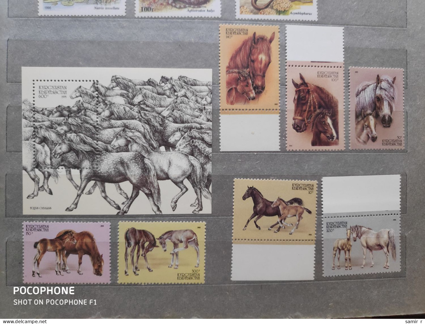 1995	Kyrgyzstan	Horses (F83) - Kyrgyzstan