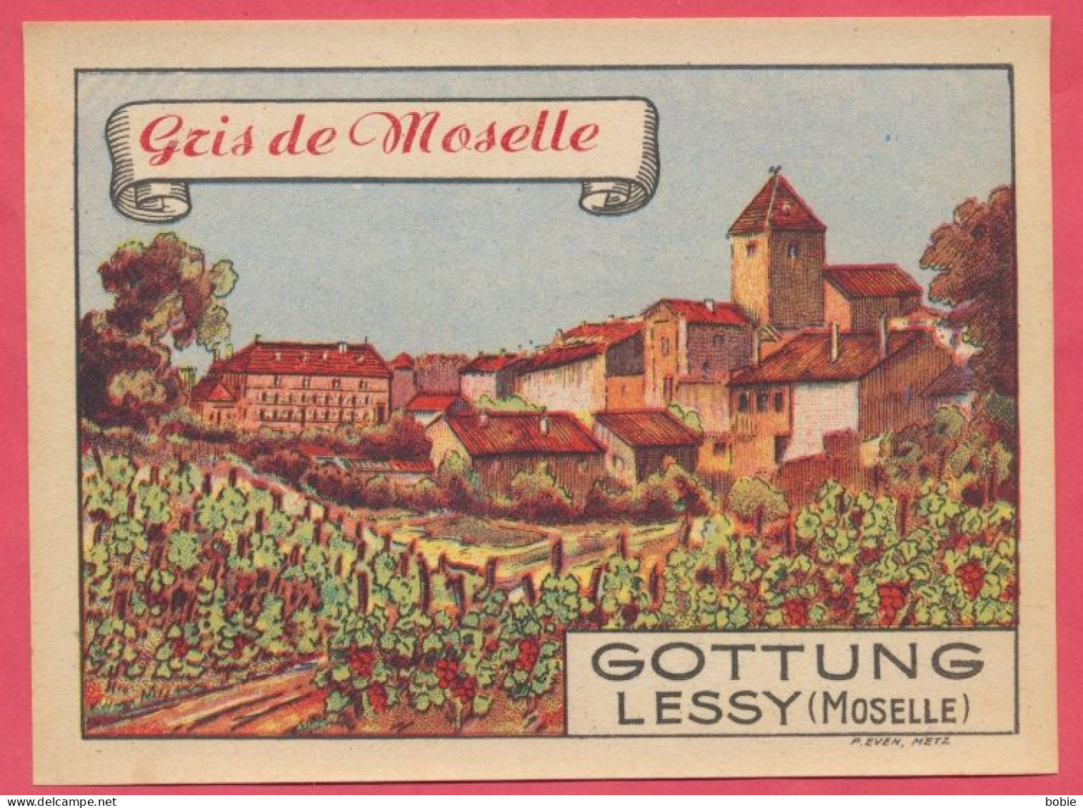 Lessy : Etiquette De Vin De Moselle : " Gris De Moselle Gottung " Colorisé - Titre Italique. Edit. P. Even Metz. N°2 - Other & Unclassified