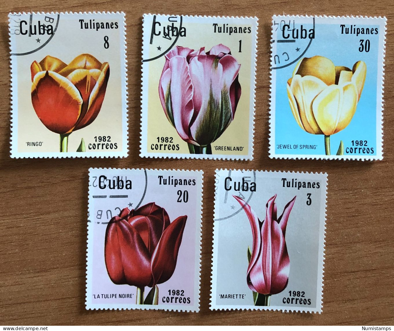 Cuba - Tulips - 1982 - Used Stamps