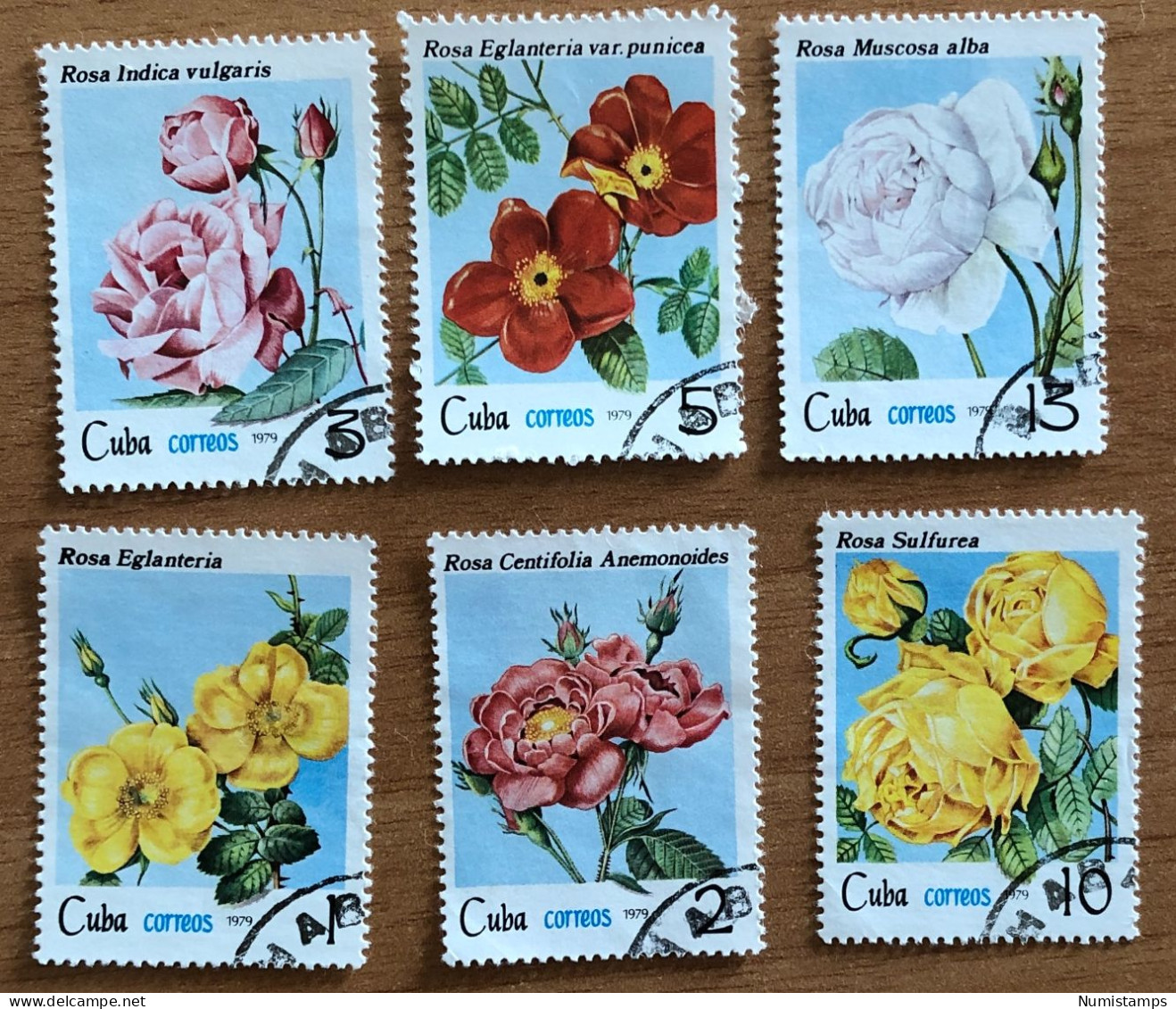 Cuba - Flowers - Roses - 1979 - Used Stamps