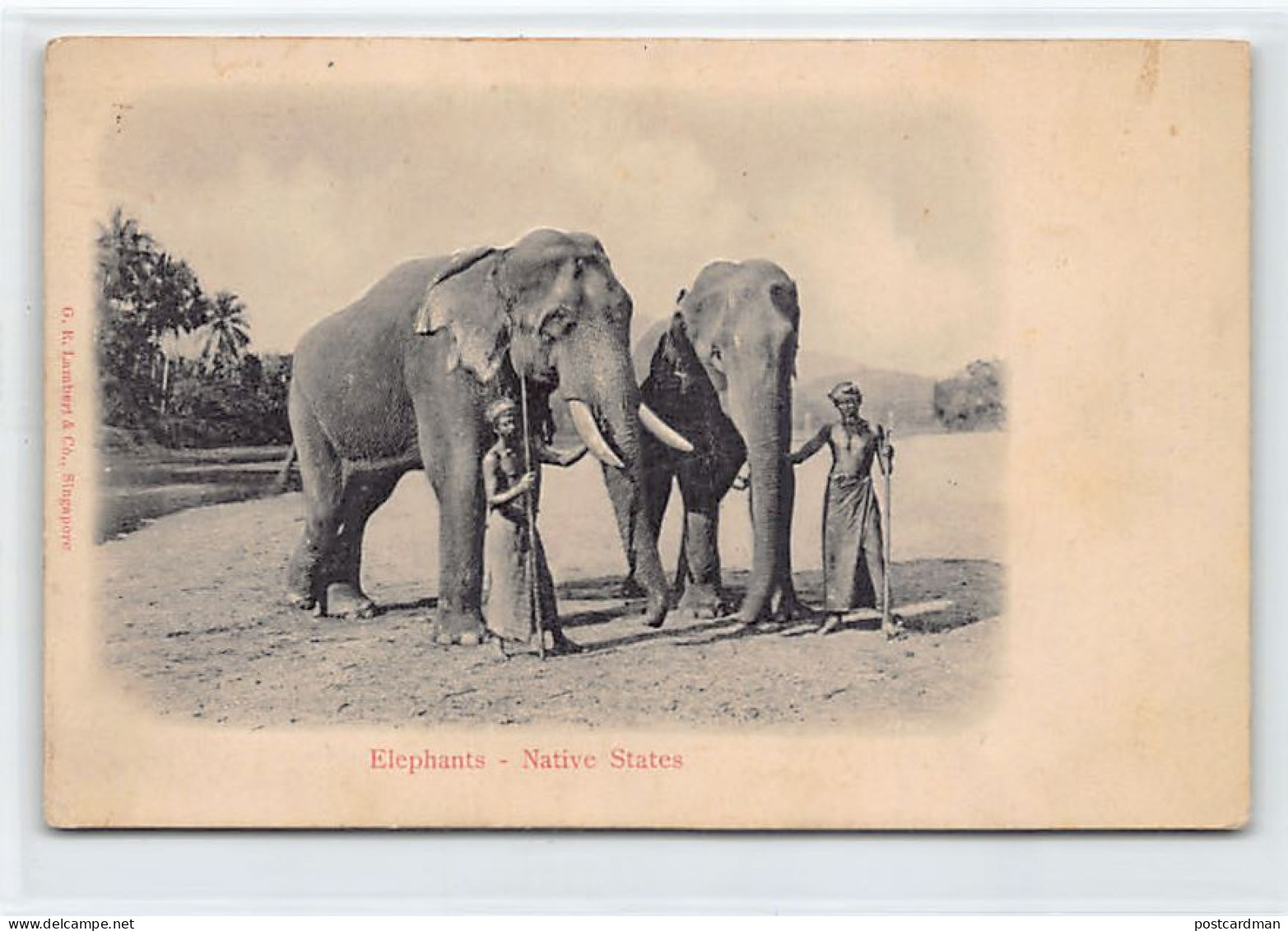 Malaysia - Elephant - Native States - RELIEF POSTCARD - Publ. G. R. Lambert & Co.  - Malesia