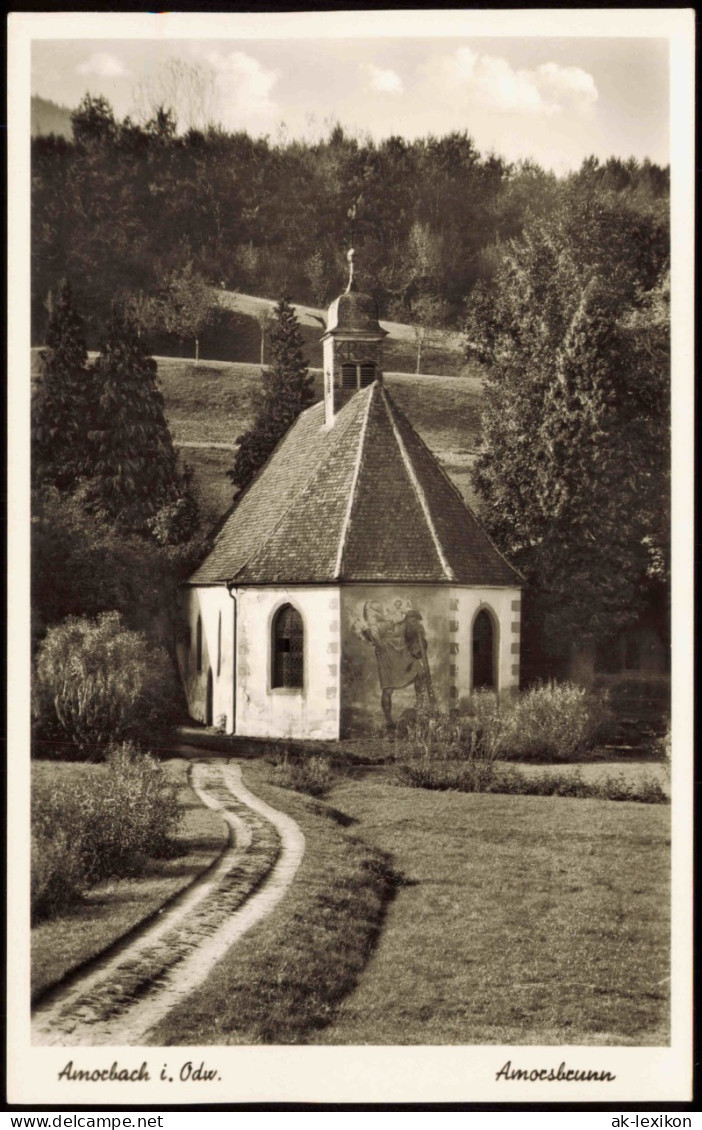 Ansichtskarte Amorbach Kirche Amorsbrunn 1960 - Amorbach