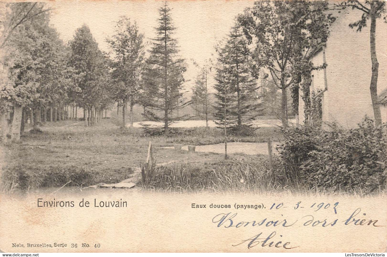 BELGIQUE - Environs De Louvain - Eaux Douces (Paysage) - Vue D'ensemble - De La Forêt - Carte Postale Ancienne - Ottignies-Louvain-la-Neuve