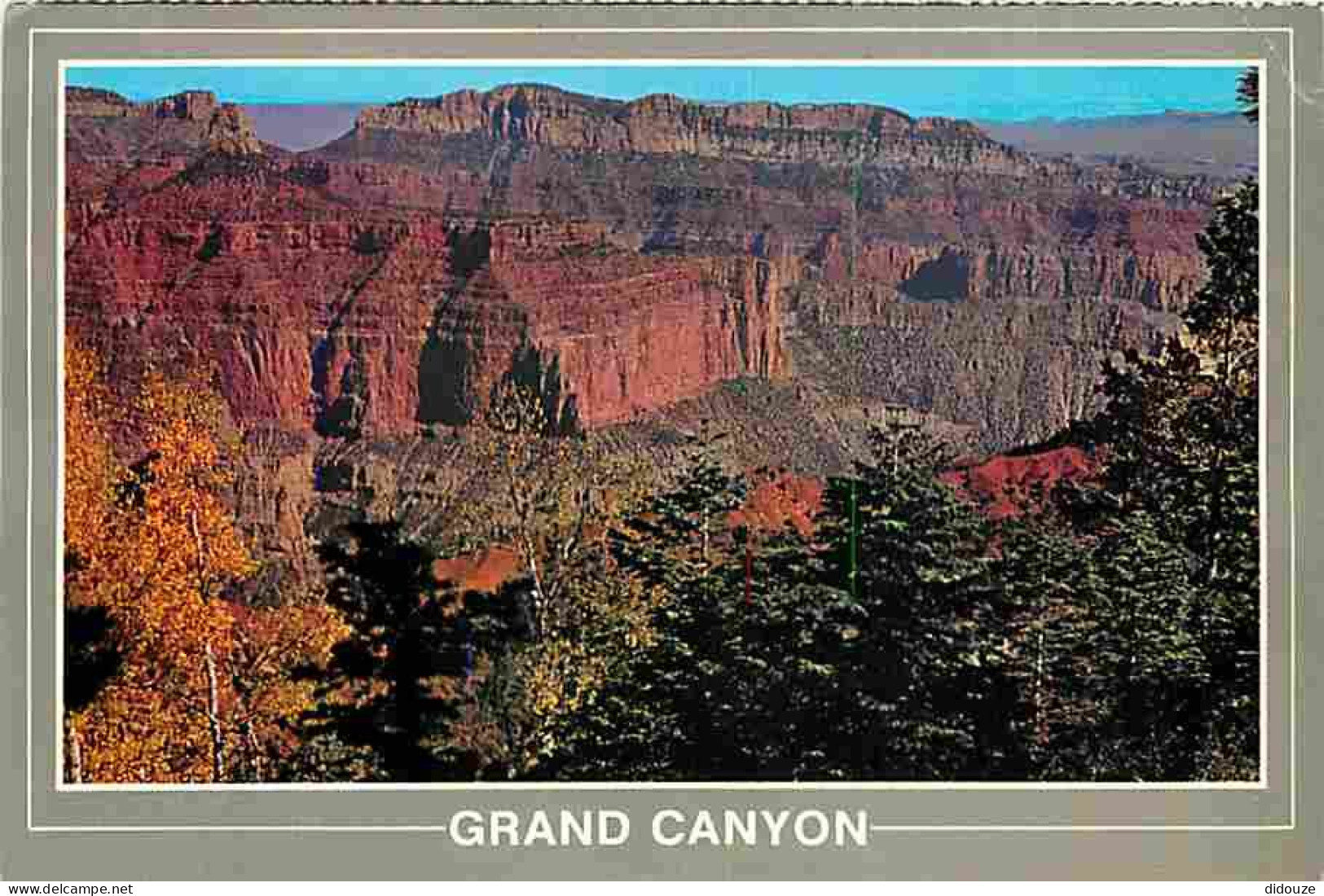 Etats Unis - Grand Canyon - Vista Encantadora - CPM - Voir Scans Recto-Verso - Grand Canyon