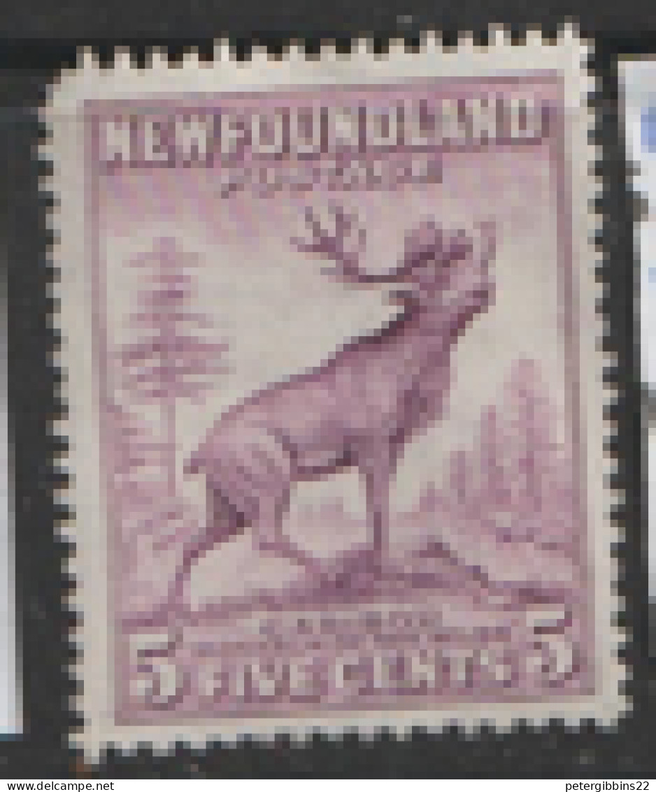 Newfoundland  1932   SG 225  5c  Die 11  Mint No Gum - 1908-1947