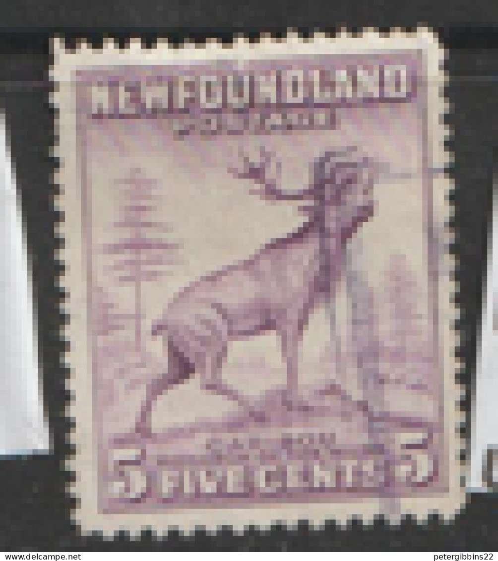 Newfoundland  19341   SG 280a  5c Fine Used - 1908-1947