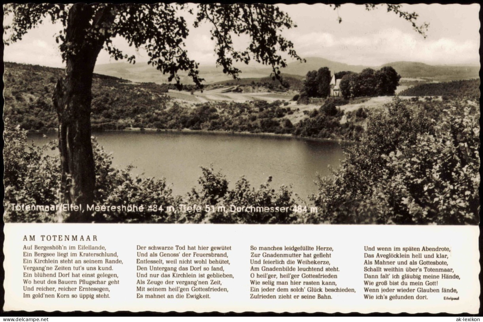 Ansichtskarte Daun Eifel Umland-Ansicht Totenmaar Eifel 1959 - Daun