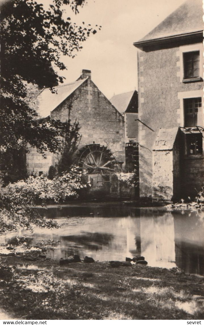 L'ILE BOUCHARD . - Le Moulin  . CPSM 9X14 RARE - L'Île-Bouchard