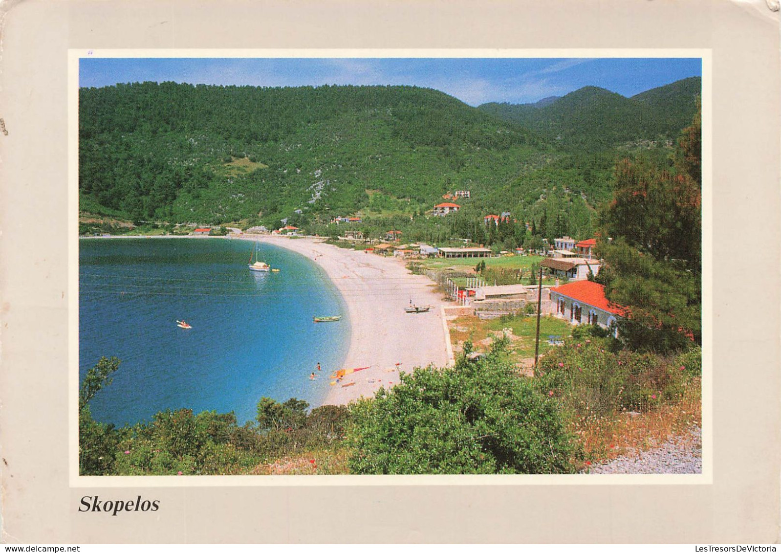 GRECE - Skopelos - Panormos Beach - Colorisé - Carte Postale - Grecia