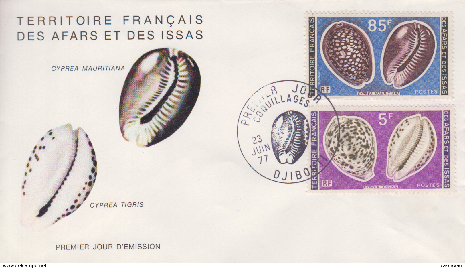 Enveloppe  FDC  1er  Jour   Territoire   Des   AFARS   Et   ISSAS    Coquillage   1977 - Coquillages