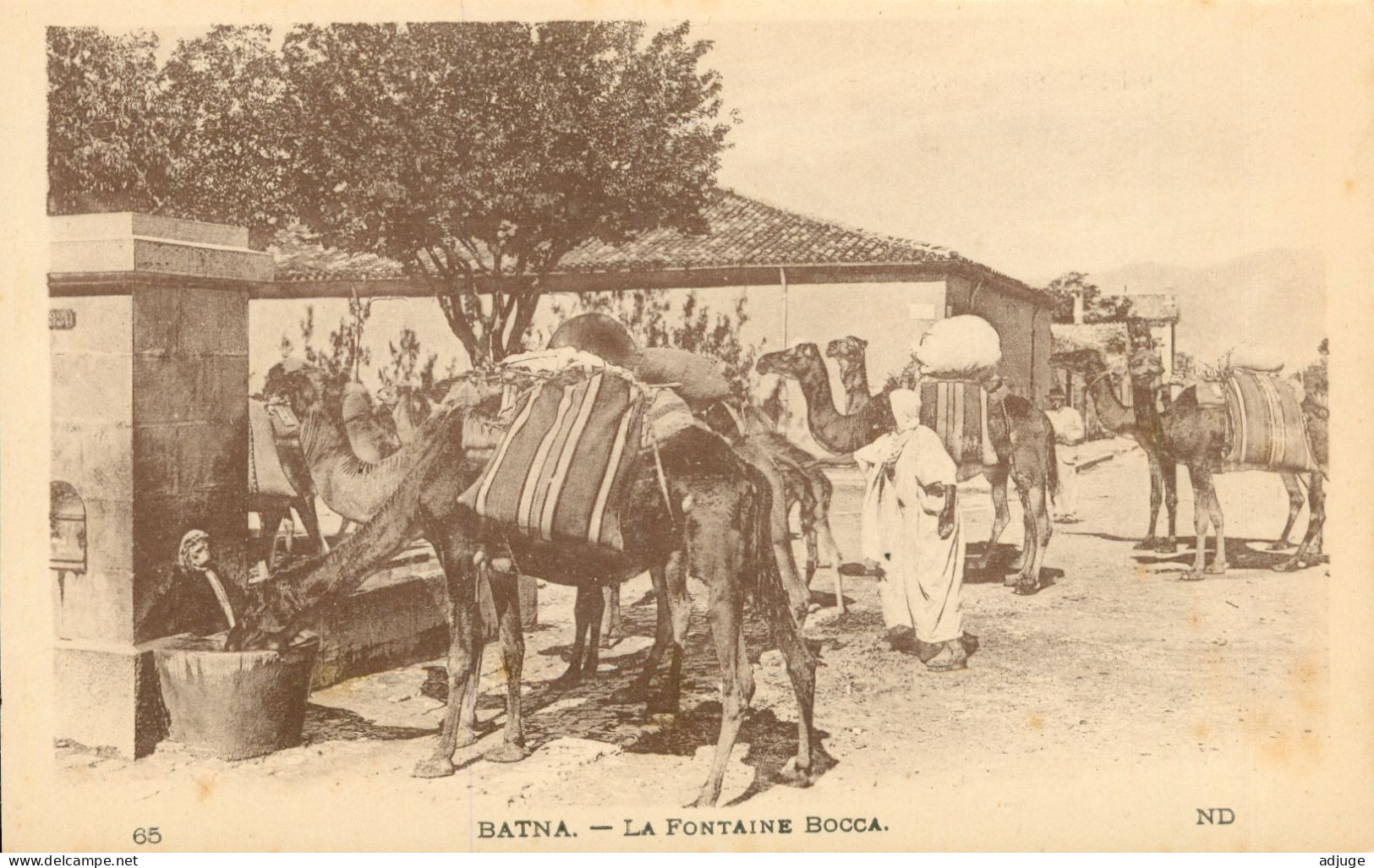 CPA - Algérie - BATNA - La Fontaine BOCCA - Ref. LL N° 65 _ J. Bernard Papeterie Tabacs BATNA * 2 Scans - Batna